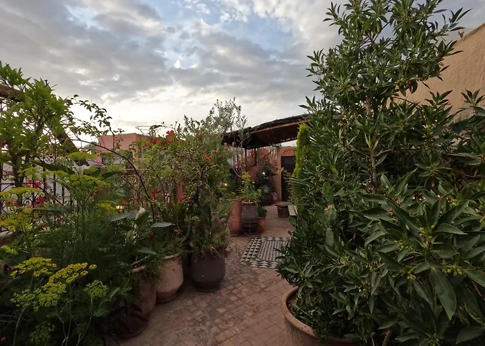 Riad Maizie